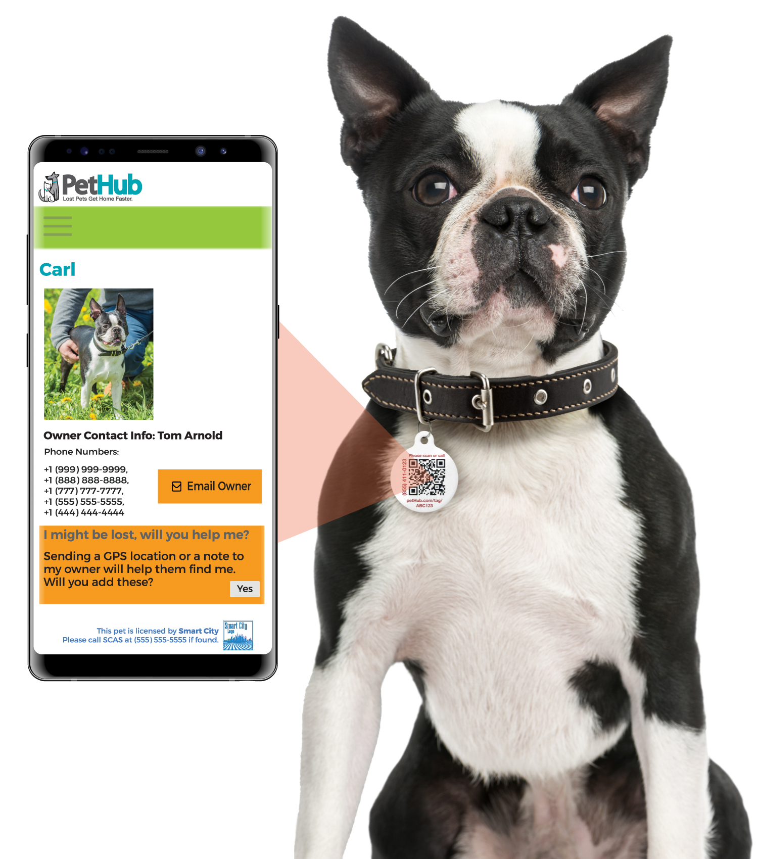 PetHub QR Pet ID Comprehensive ReadyKit – Complete Emergency Kit - Tampa Home & Garden Store