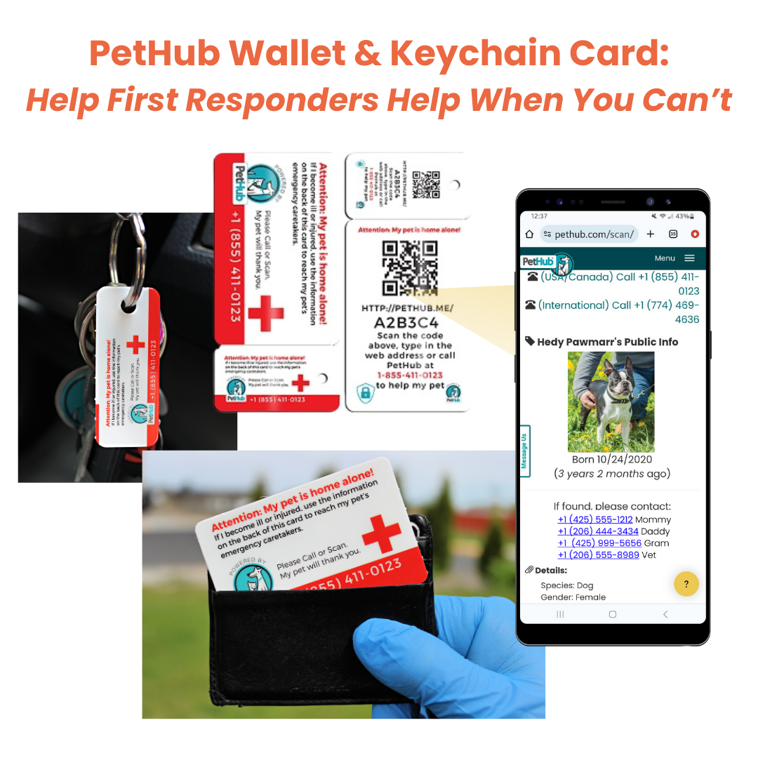 PetHub QR Pet ID Comprehensive ReadyKit – Complete Emergency Kit - Tampa Home & Garden Store