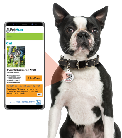 PetHub QR Pet ID Sticker – Upgrade Any Tag + Backup Pet Protection - Tampa Home & Garden Store