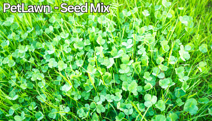 PetLawn™ Dog-Friendly Lawn Mix – Durable, Pet-Safe Grass & Clover Blend - Tampa Home & Garden Store