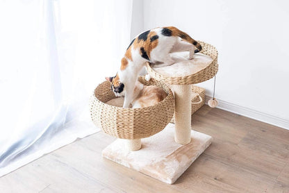 PetPals Cozy Cat Tree – Eco-Friendly, Stylish & Fun for Your Cat! - Tampa Home & Garden Store