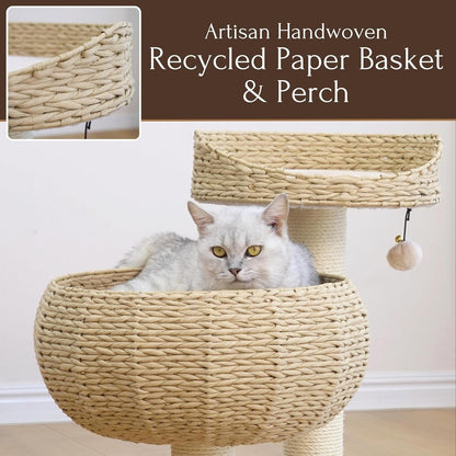 PetPals Cozy Cat Tree – Eco-Friendly, Stylish & Fun for Your Cat! - Tampa Home & Garden Store