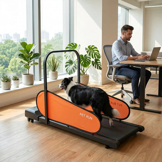 Dog treadmill with LED display and adjustable speed, orange PET RUN belt; dog running indoors on Tampa Home & Garden Store