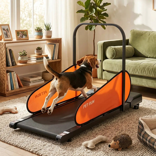 Dog treadmill by DirectDeals with LED display and orange side panels, adjustable speed on Tampa Home & Garden Store