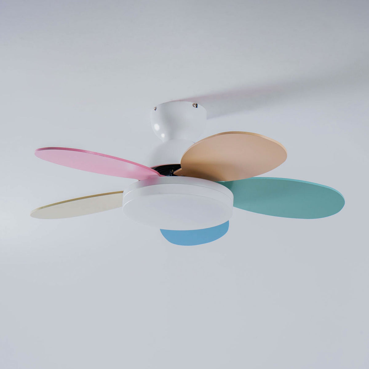 Petal-shaped Moktan Sabai ceiling fan with pastel multi-color blades, LED light, and remote on Tampa Home & Garden Store