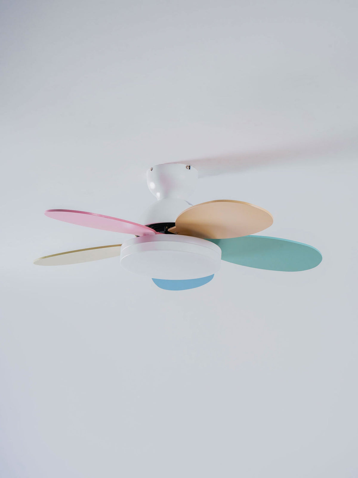 Petal-Shaped Moktan Sabai ceiling fan with LED light and remote, pastel blade colors on Tampa Home & Garden Store