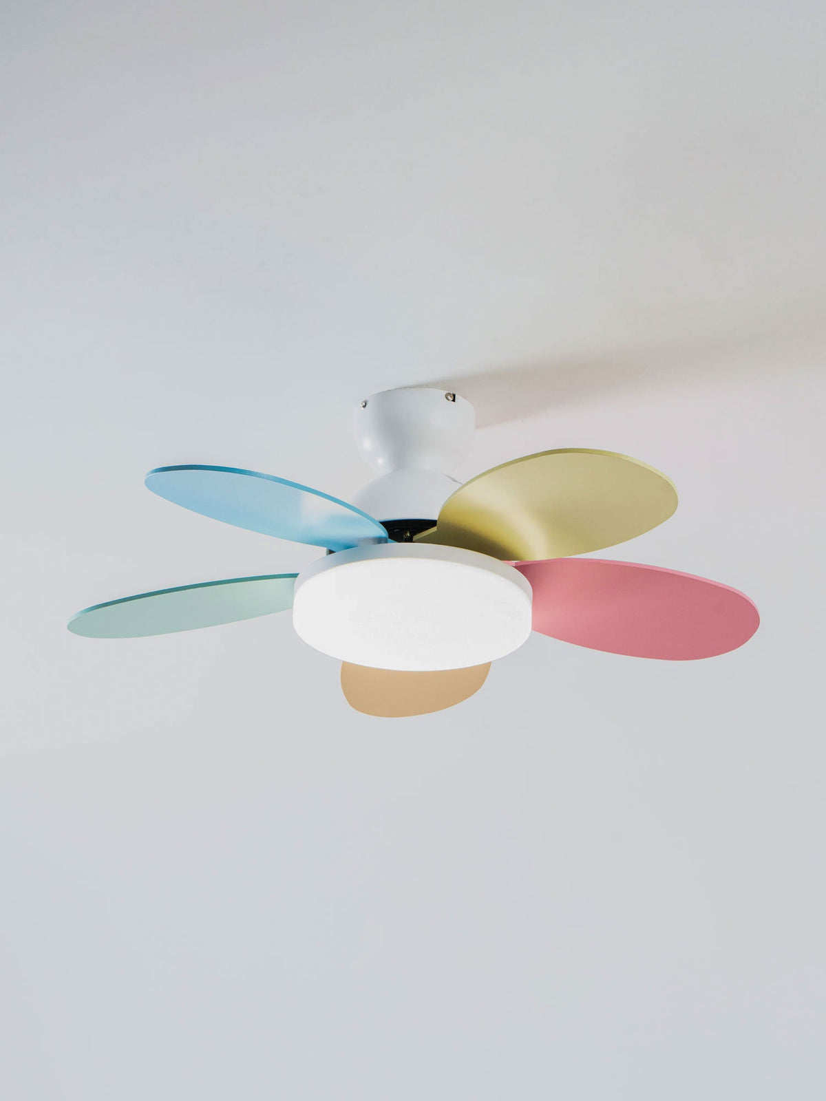 Petal-shaped ceiling fan with colorful blades and integrated LED light by Moktan Sabai on Tampa Home & Garden Store