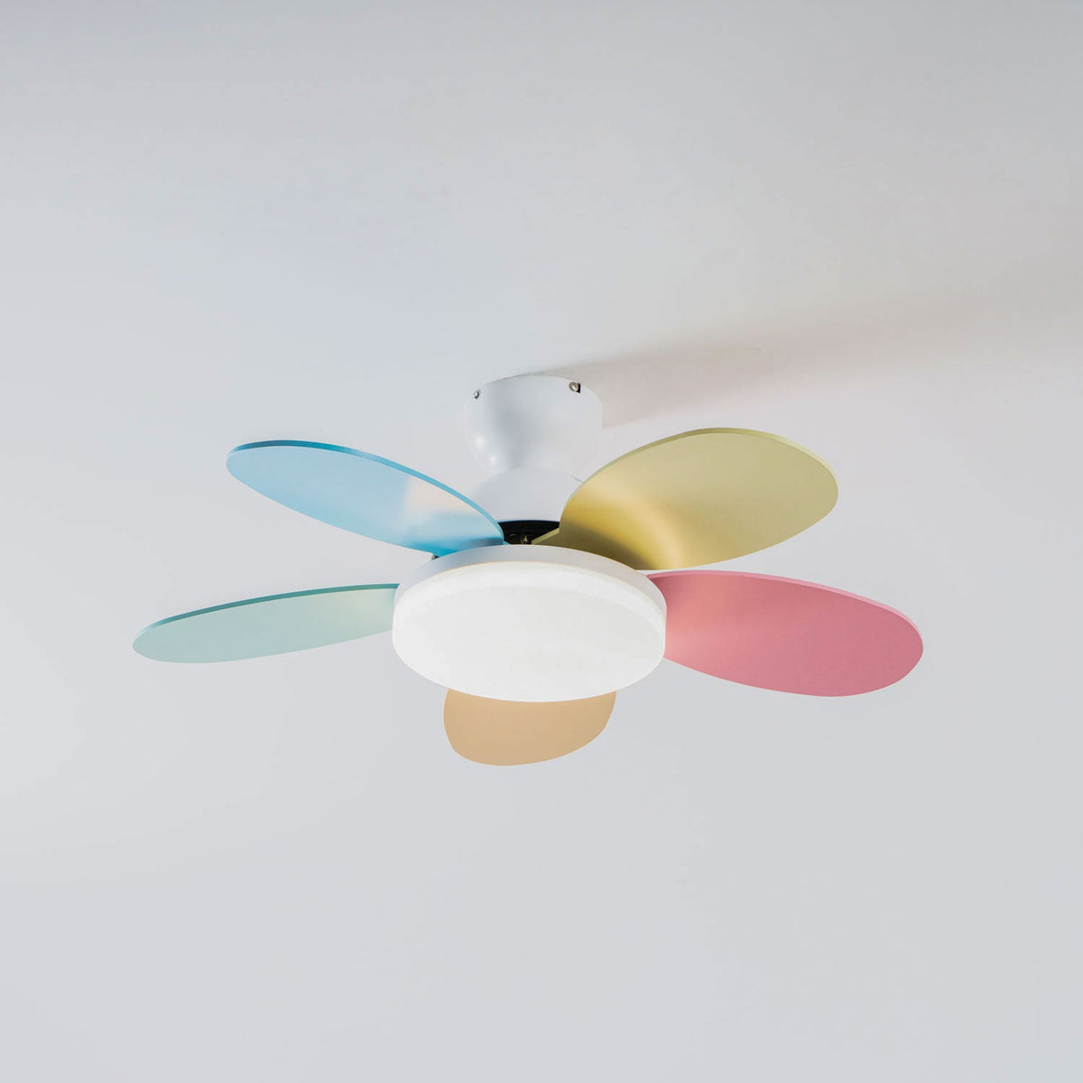 Petal-Shaped Ceiling Fan with LED Light by Moktan Sabai, multicolor blades on Tampa Home & Garden Store