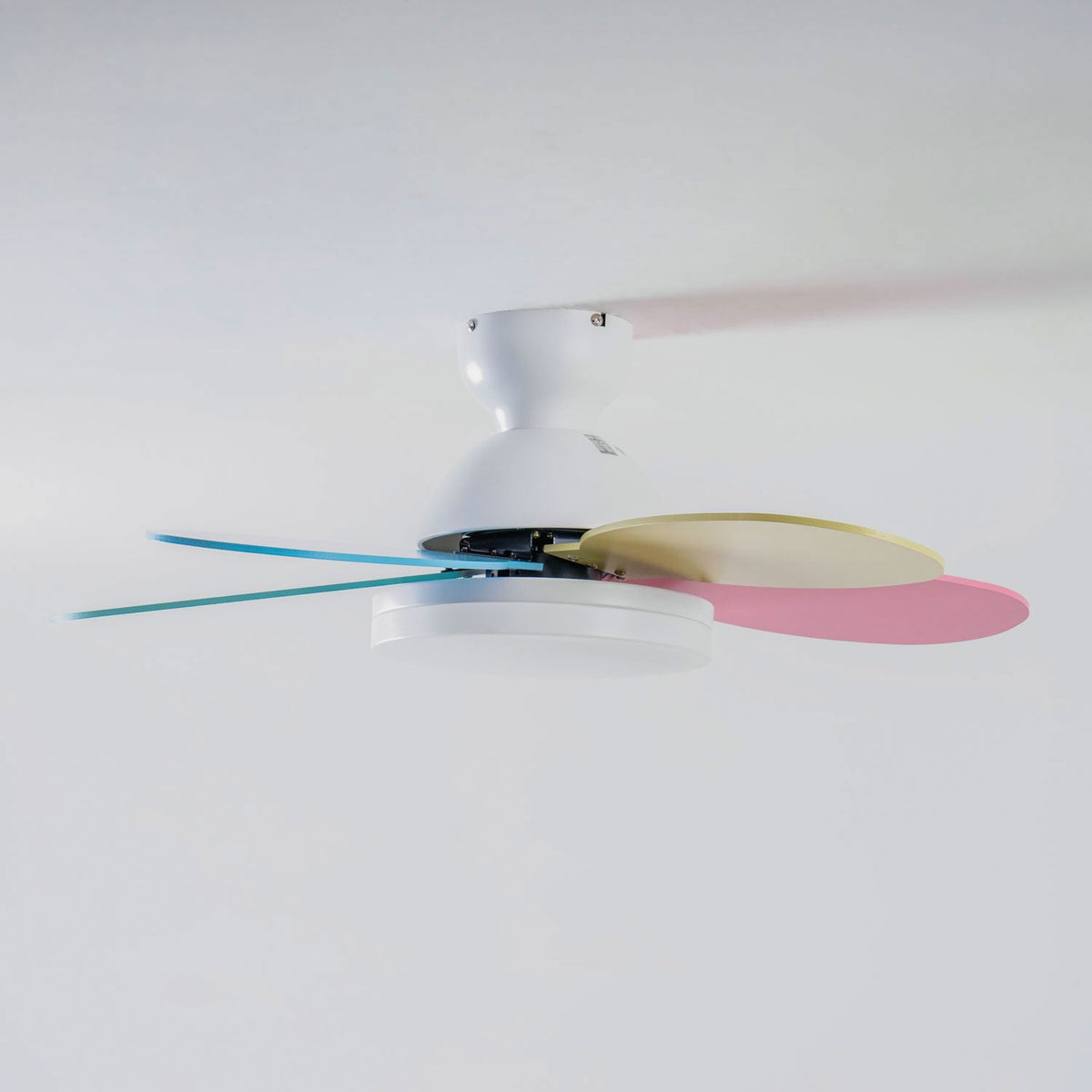 Ceiling fan Moktan Sabai, petal-shaped with LED light and remote, white body and colorful blades on Tampa Home & Garden Store