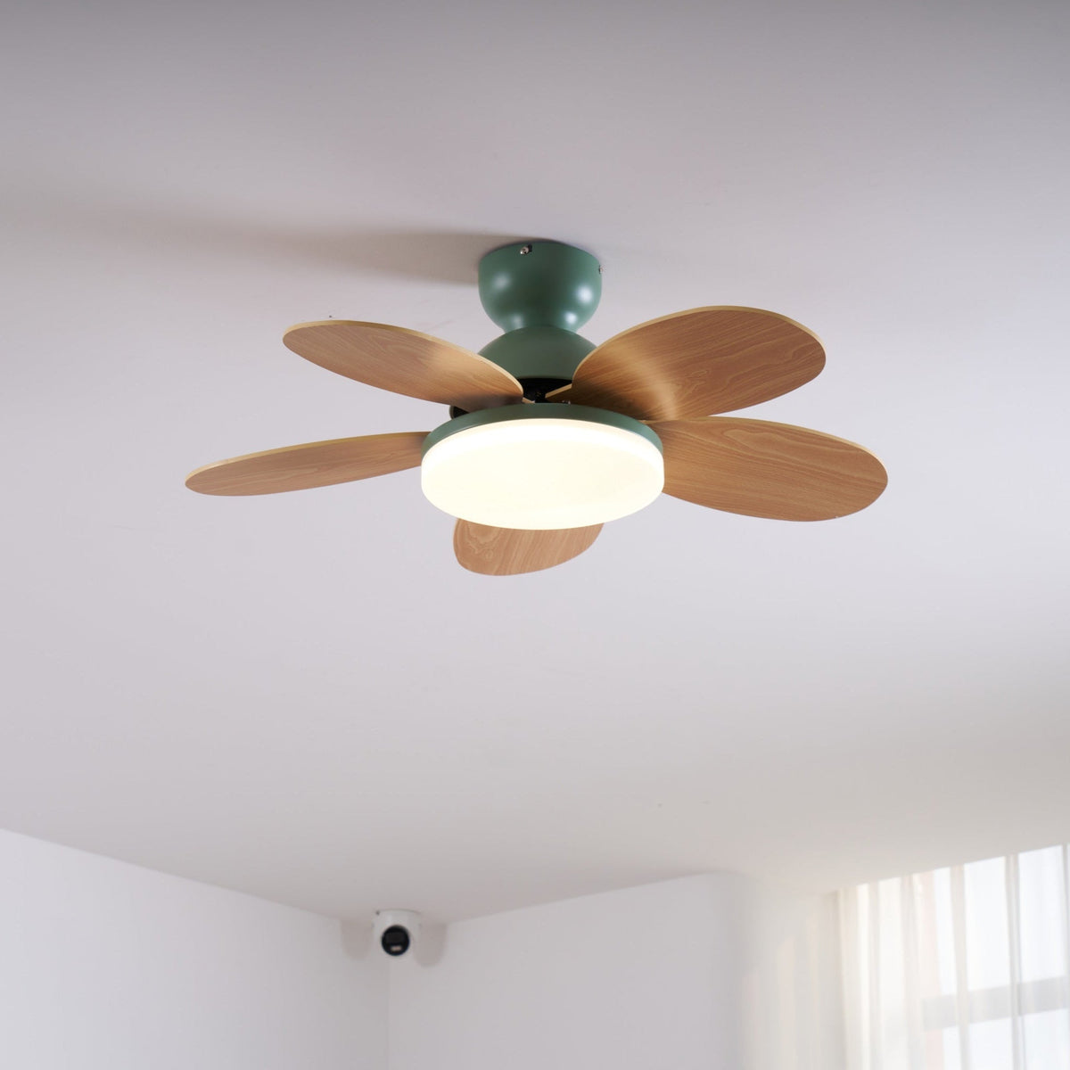 Petal-shaped ceiling fan with LED light and remote Moktan Sabai natural wood blades green motor on Tampa Home & Garden Store