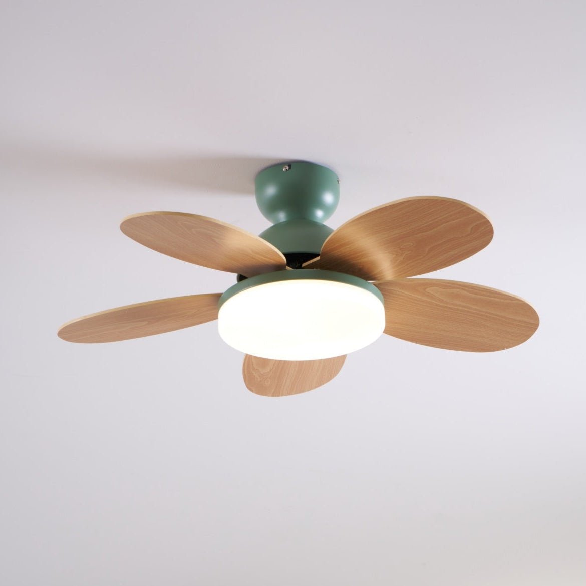 Petal-Shaped ceiling fan with LED light, five wooden blades and green canopy Moktan Sabai on Tampa Home & Garden Store
