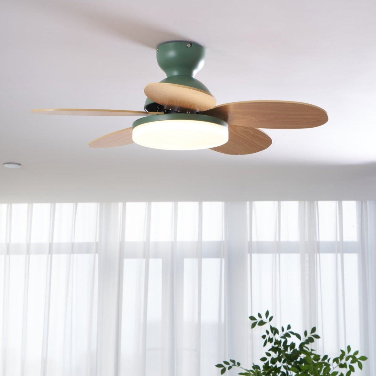 Petal-Shaped Ceiling Fan with LED Light by Moktan Sabai, green housing, wood blades on Tampa Home & Garden Store