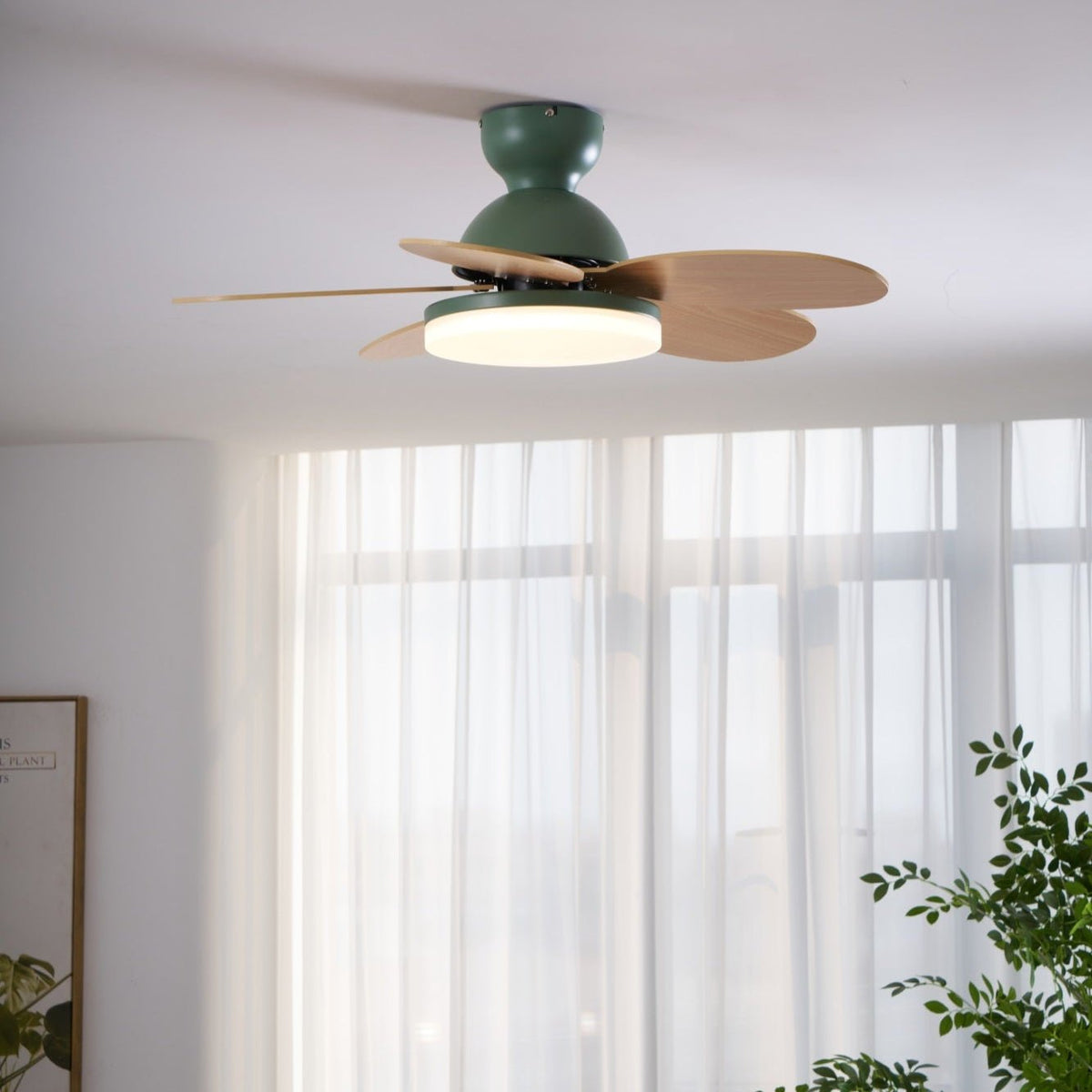 Petal-Shaped Ceiling Fan by Moktan Sabai with LED light, green finish, remote control on Tampa Home & Garden Store