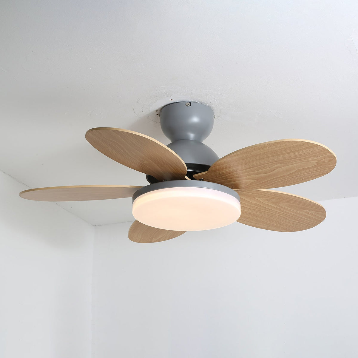 Petal-shaped Moktan Sabai ceiling fan with LED light, five natural wood blades, remote on Tampa Home & Garden Store