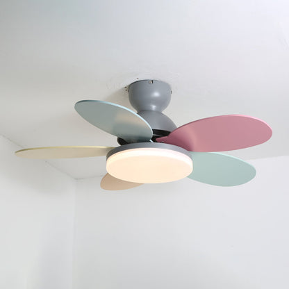 Petal-shaped ceiling fan Moktan Sabai with pastel pink, mint and blue blades and LED light on Tampa Home & Garden Store