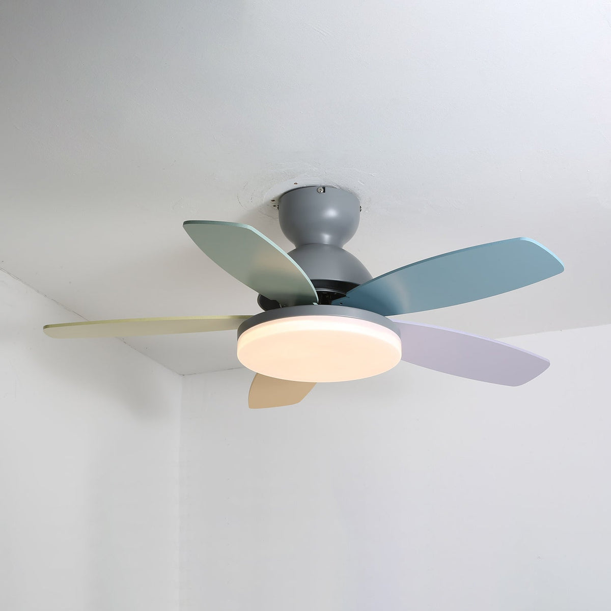 Petal-Shaped ceiling fan with LED light and remote, pastel blades, gray motor housing on Tampa Home & Garden Store