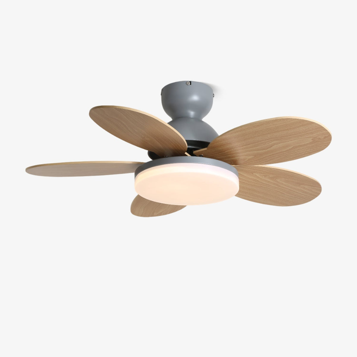 Petal-Shaped ceiling fan with LED light and remote, Moktan Sabai gray motor wood blades on Tampa Home & Garden Store