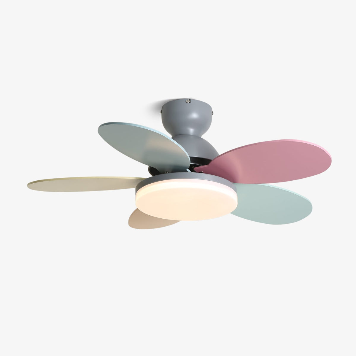 Petal-shaped ceiling fan with LED light and remote, Moktan Sabai five pastel blades, gray motor on Tampa Home & Garden Store