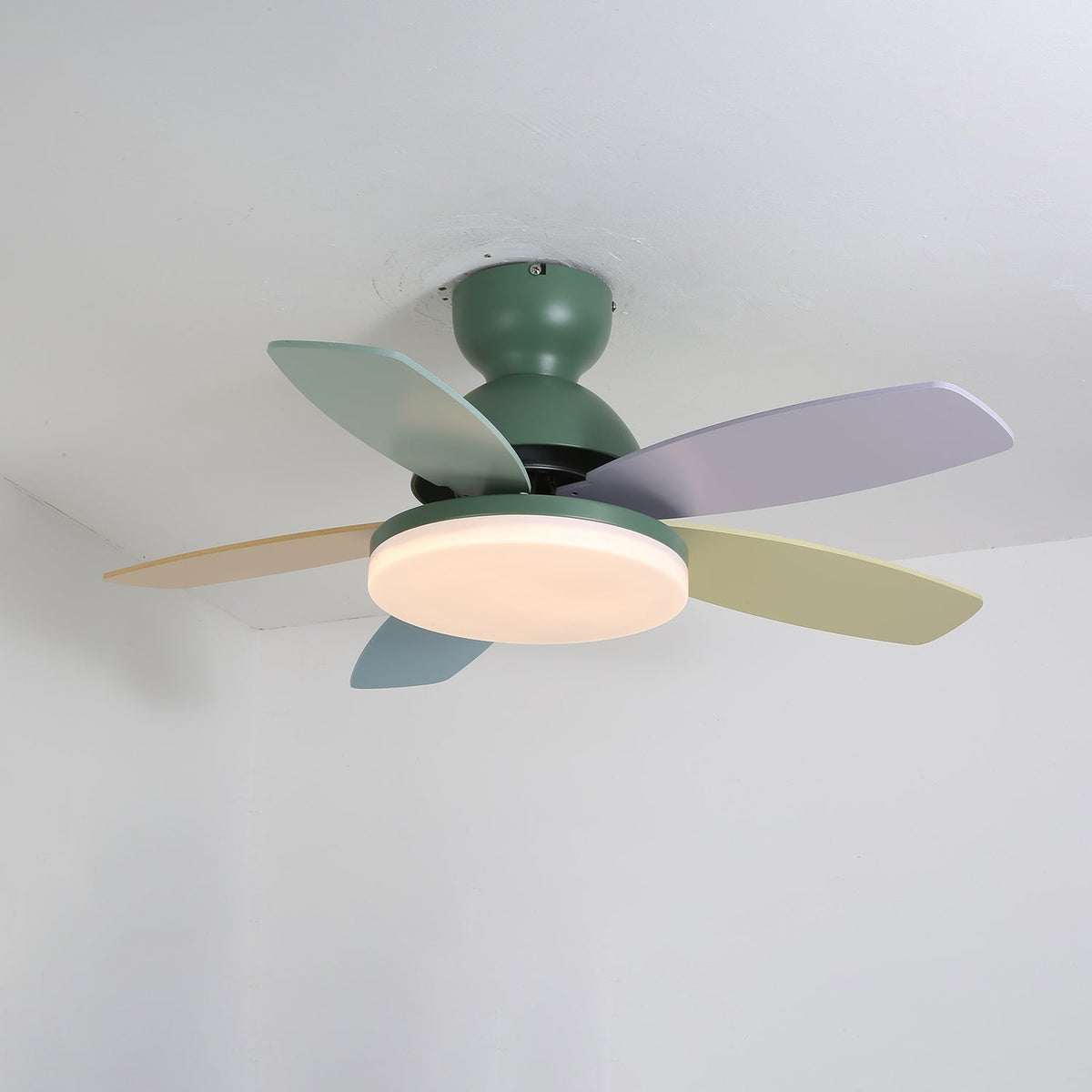 Petal-Shaped Moktan Sabai ceiling fan with LED light and remote, multicolor blades on Tampa Home & Garden Store