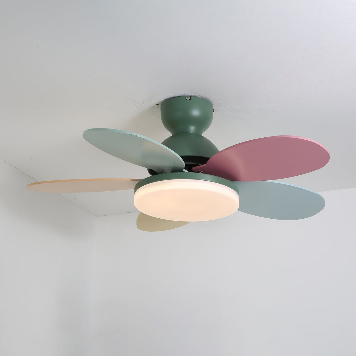 Petal-shaped ceiling fan with pastel blades and integrated LED light on green housing on Tampa Home & Garden Store