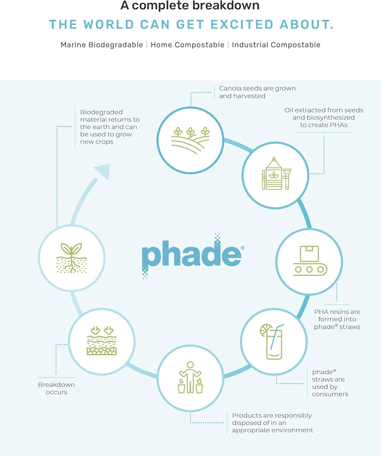Phade Jumbo Straws – Eco-Friendly, Durable, and Compostable - Tampa Home & Garden Store