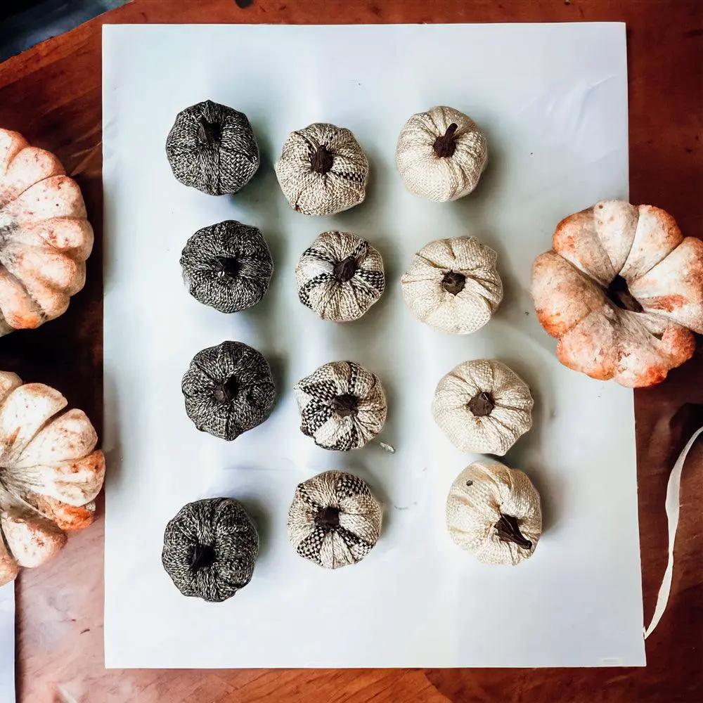 - image on Tampa Home & Garden Store