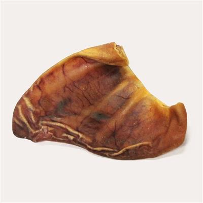 Pig Ear - Tampa Home & Garden Store