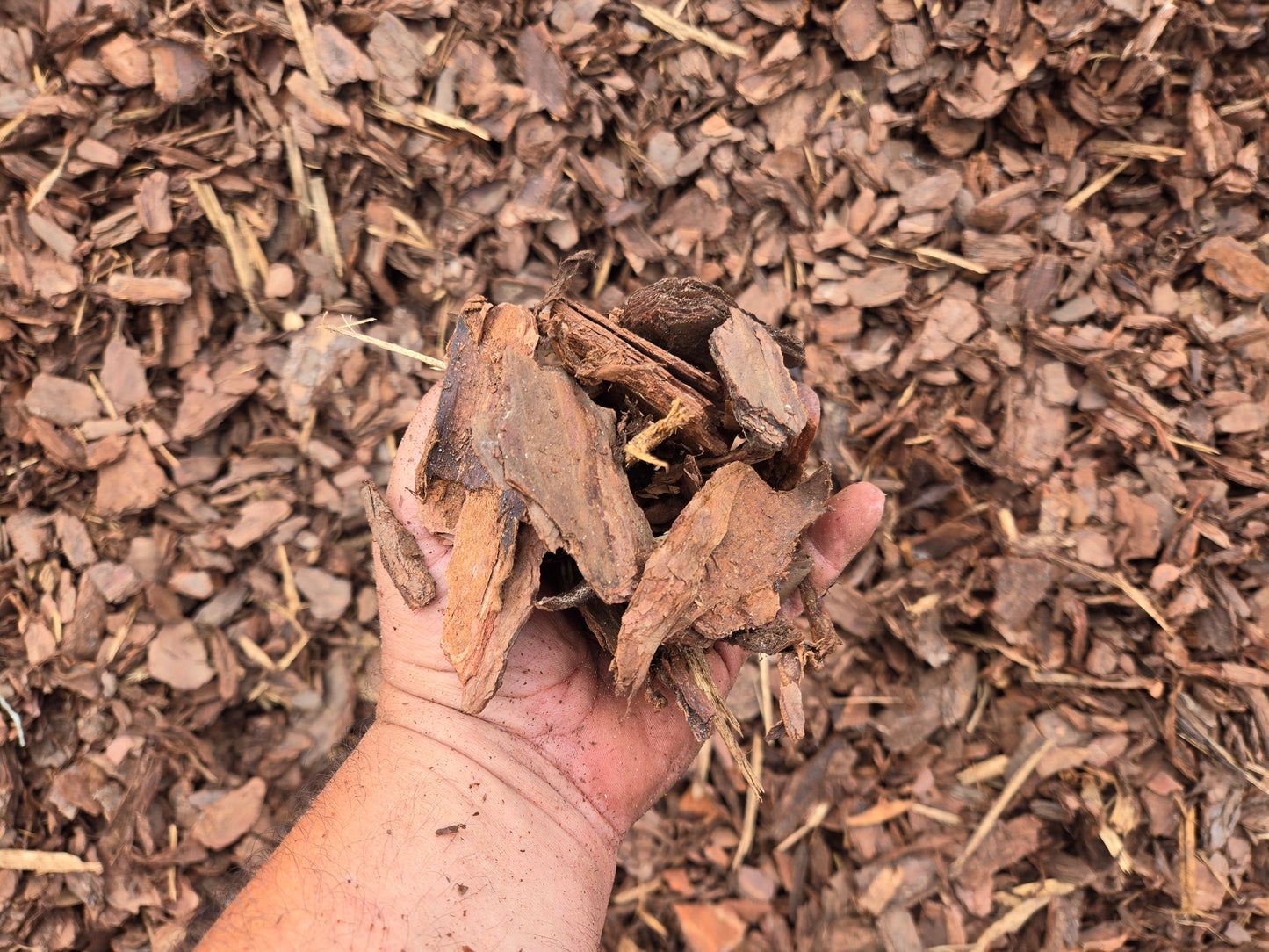 Pine Bark Mulch For Sale by the Yard - Tampa soil911.com