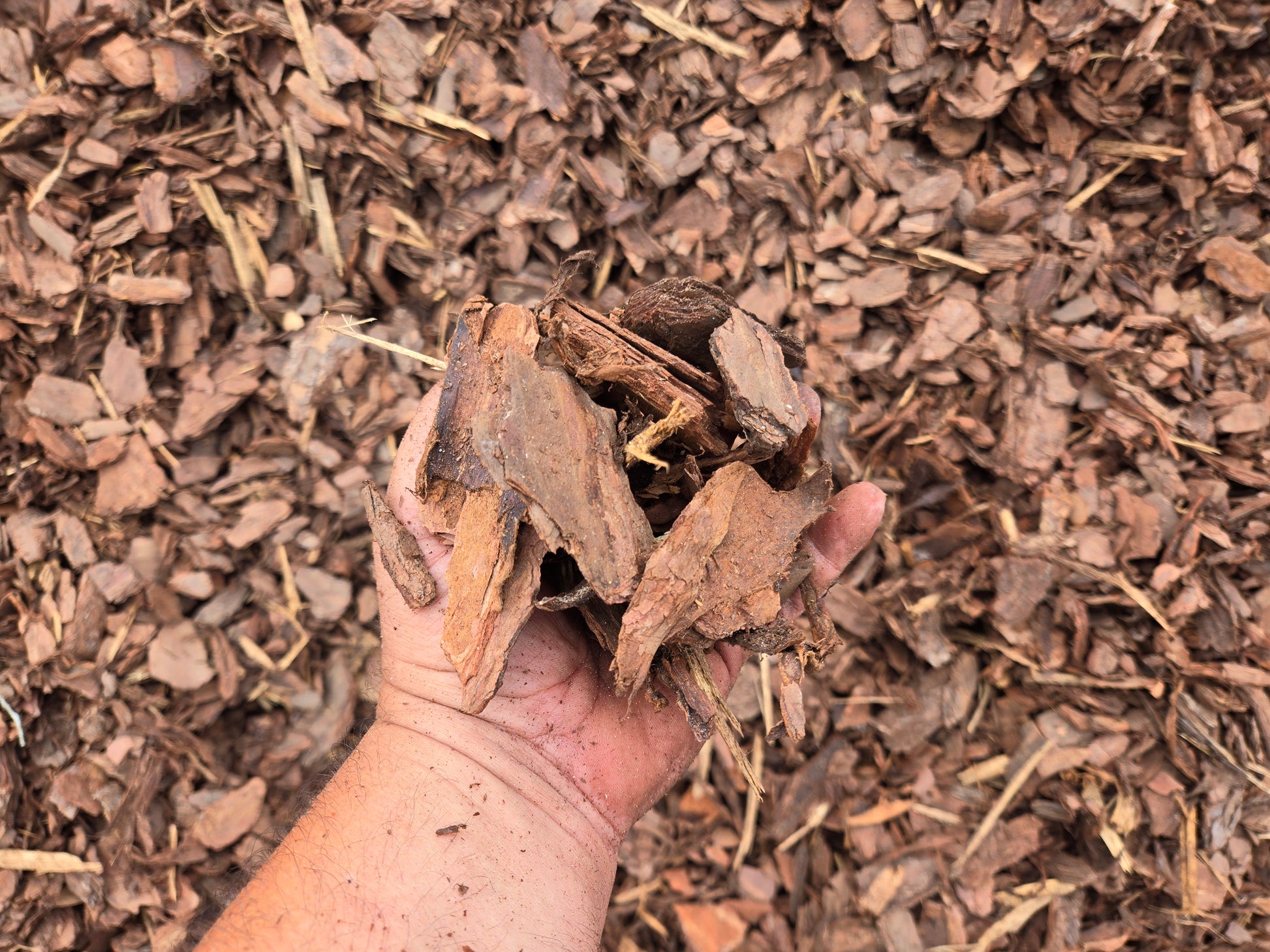 Pine Bark Mulch For Sale by the Yard - Tampa soil911.com