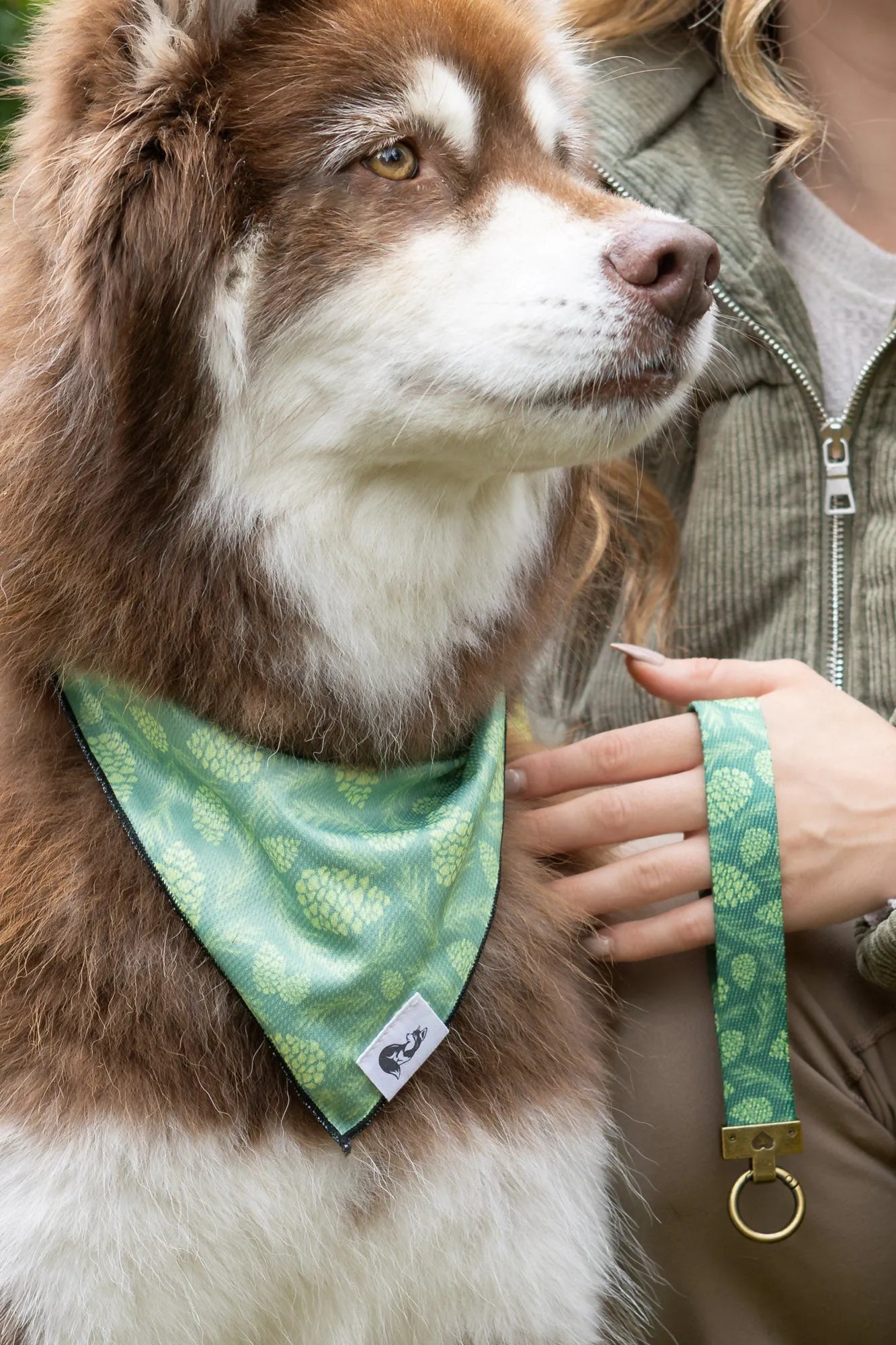 Pine Cone Pup Bandana & Matching Keychain - Tampa Home & Garden Store