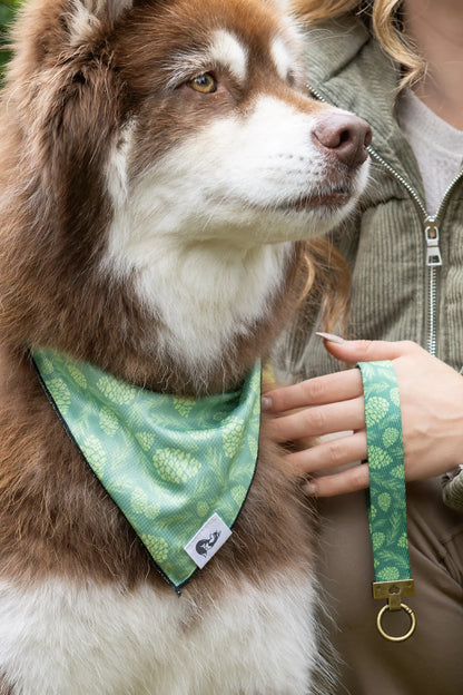 Pine Cone Pup Bandana & Matching Keychain - Tampa Home & Garden Store