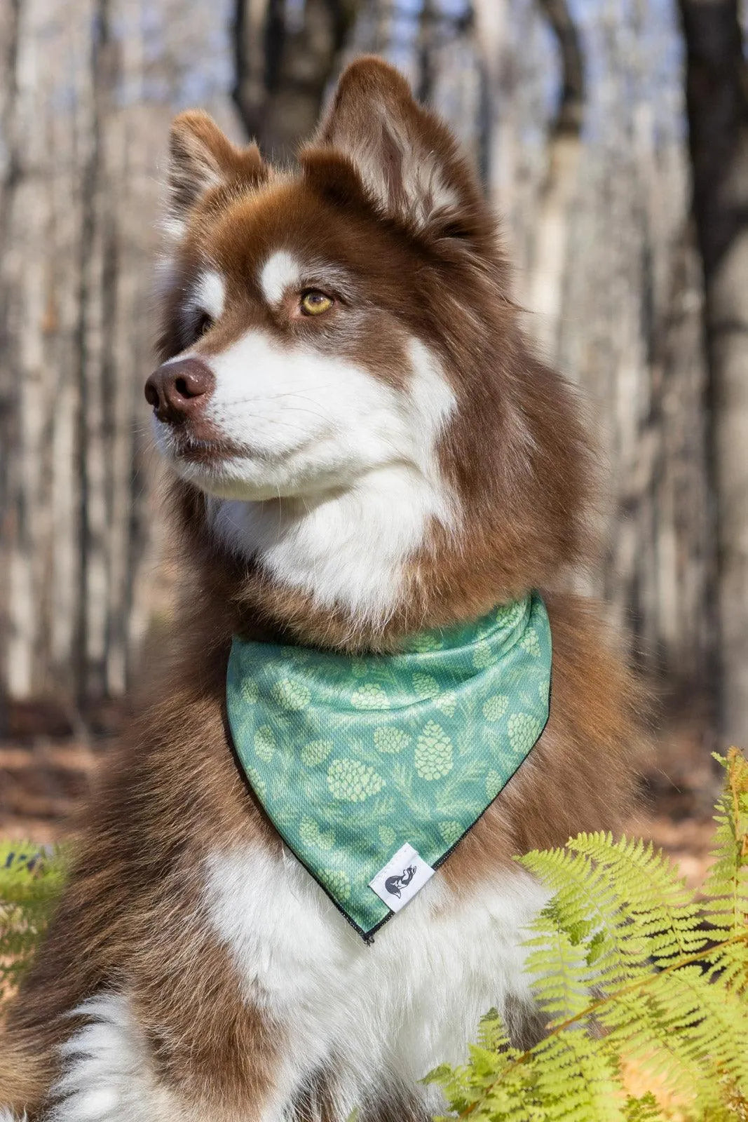 Pine Cone Pup Bandana & Matching Keychain - Tampa Home & Garden Store