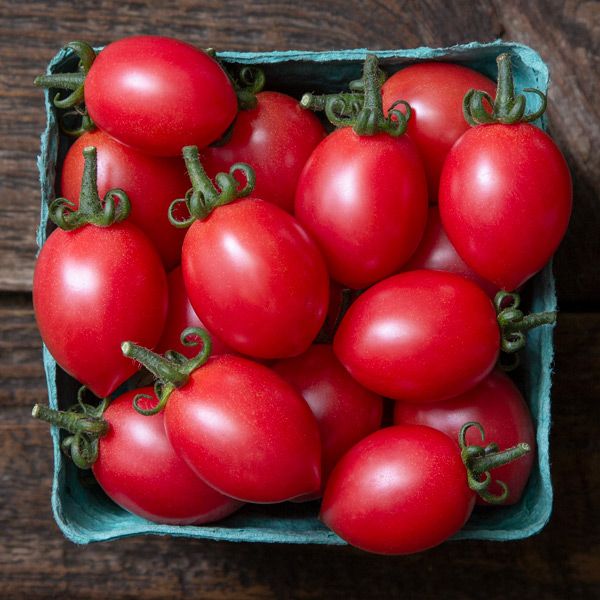 Pink Champagne cherry tomatoes in a teal carton; red, smooth-skinned fruit with green stems on Tampa Home & Garden Store