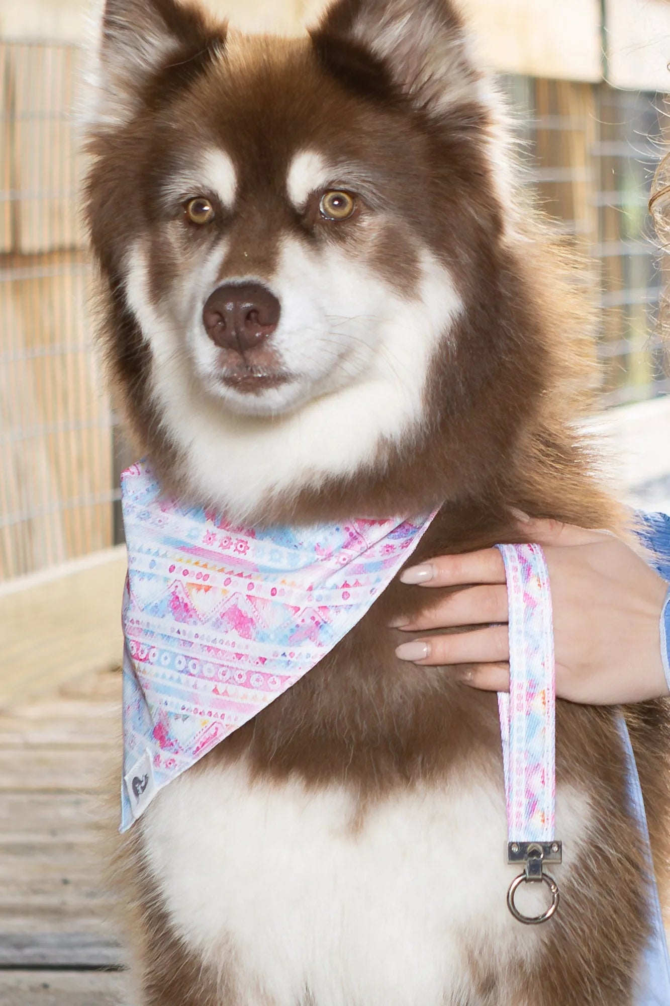 Pink and Blue Tribal Dog Bandana & Matching Keychain - Tampa Home & Garden Store