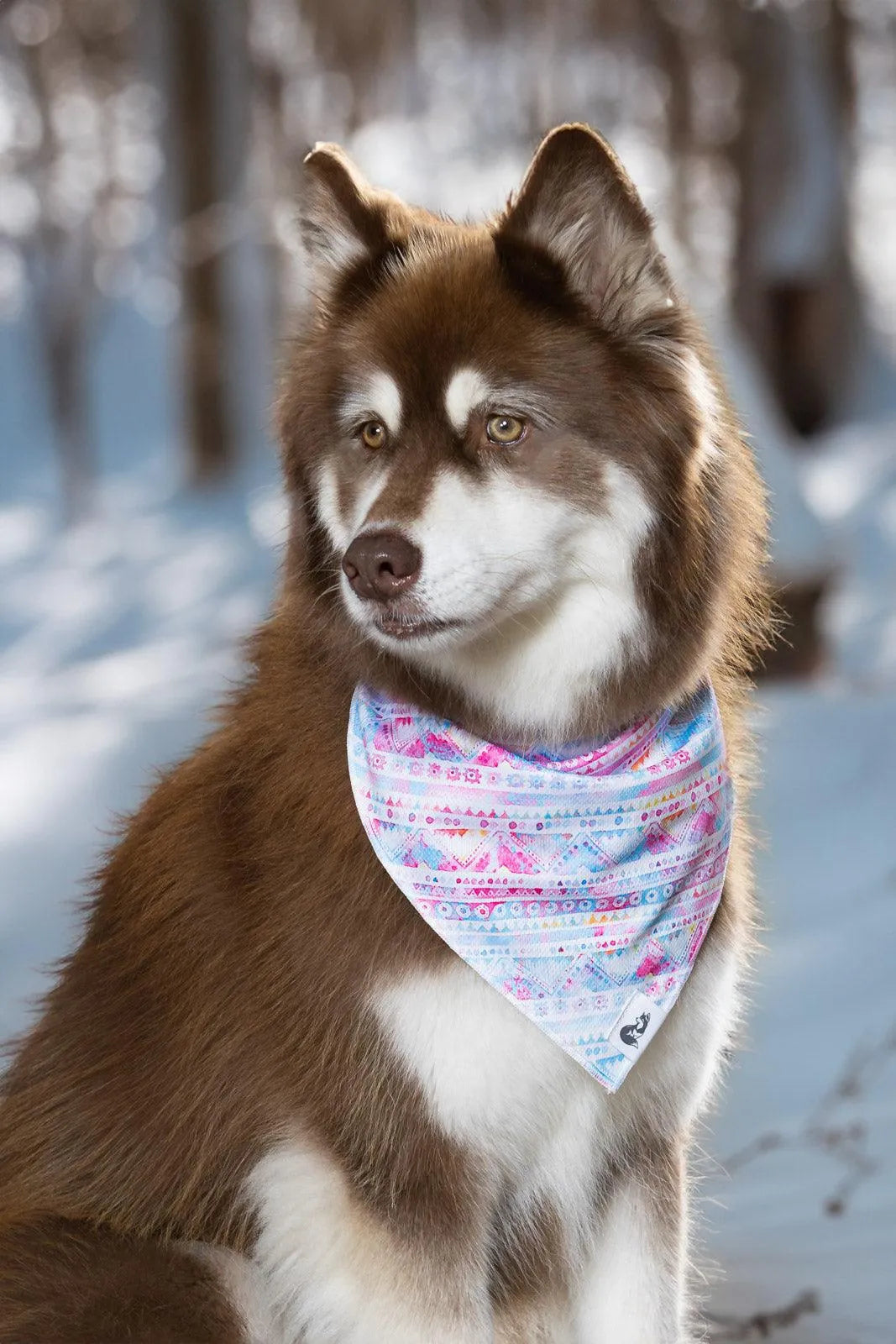 Pink and Blue Tribal Dog Bandana - Tampa Home & Garden Store