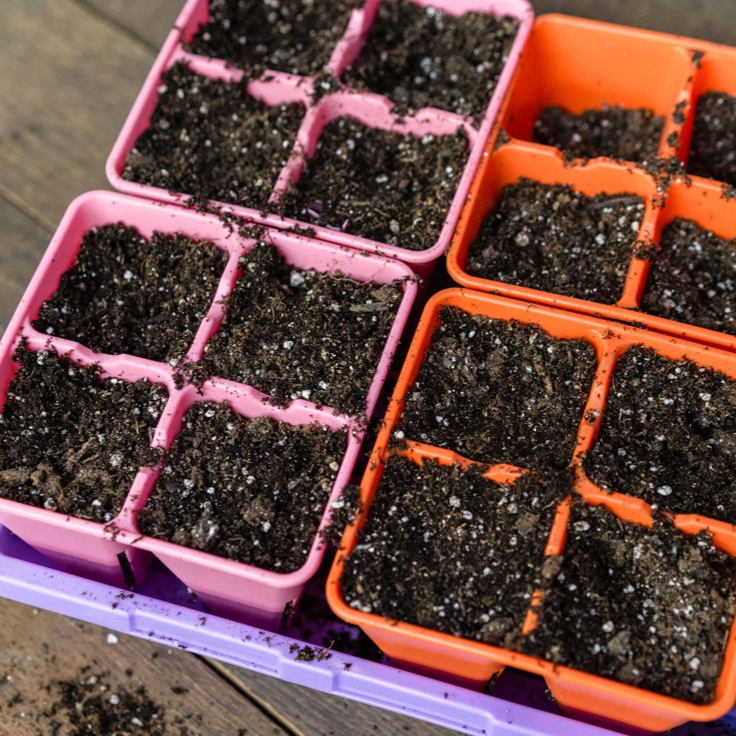 4 Cell Seed Tray Cell Plug Tray