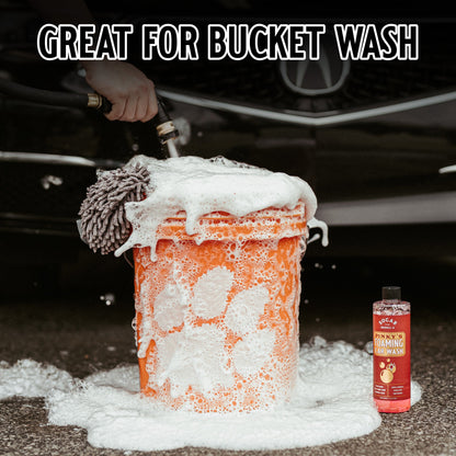 Pinky’s Foaming Car Wash - Tampa Home & Garden Store