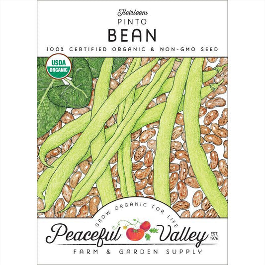 Pinto Bean Seeds (Organic) - Tampa Home & Garden Store