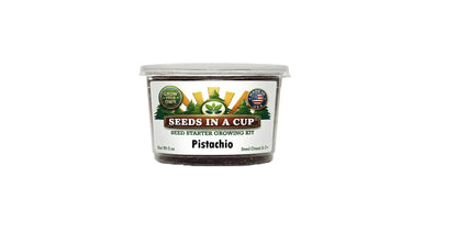 Pistachio Tree Grow Kit - Tampa Home & Garden Store