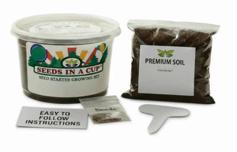 - image on Tampa Home & Garden Store