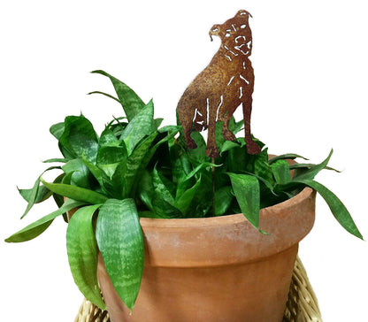 Pit Bull Plant Stake style 1 rusted metal dog silhouette in pot with plant Rustica Ornamentals on Tampa Home & Garden Store