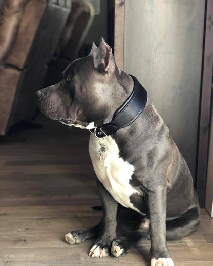 Plain "Style" Collar black - Tampa Home & Garden Store