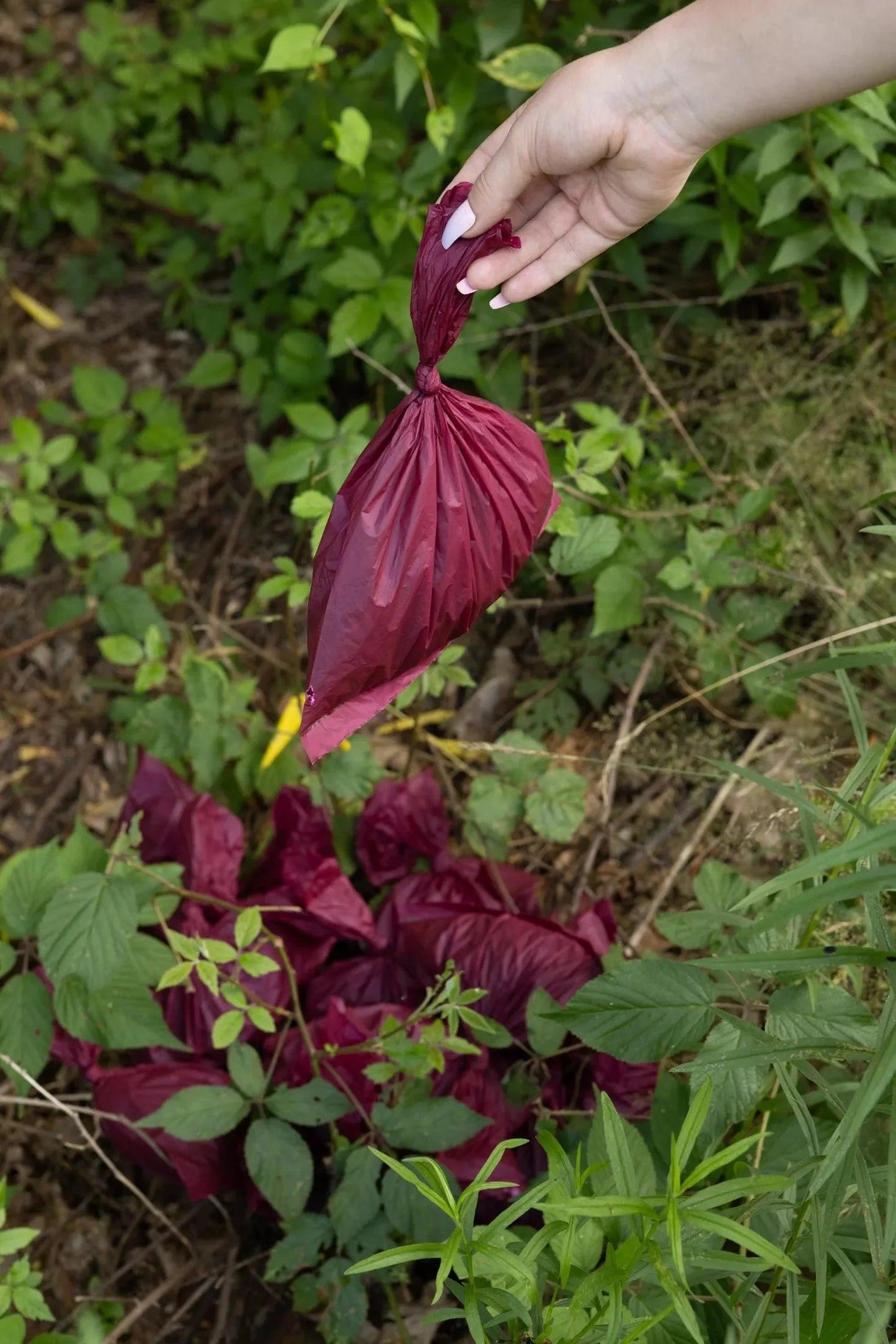 Plant Based Compostable Waste Bags - Tampa Home & Garden Store