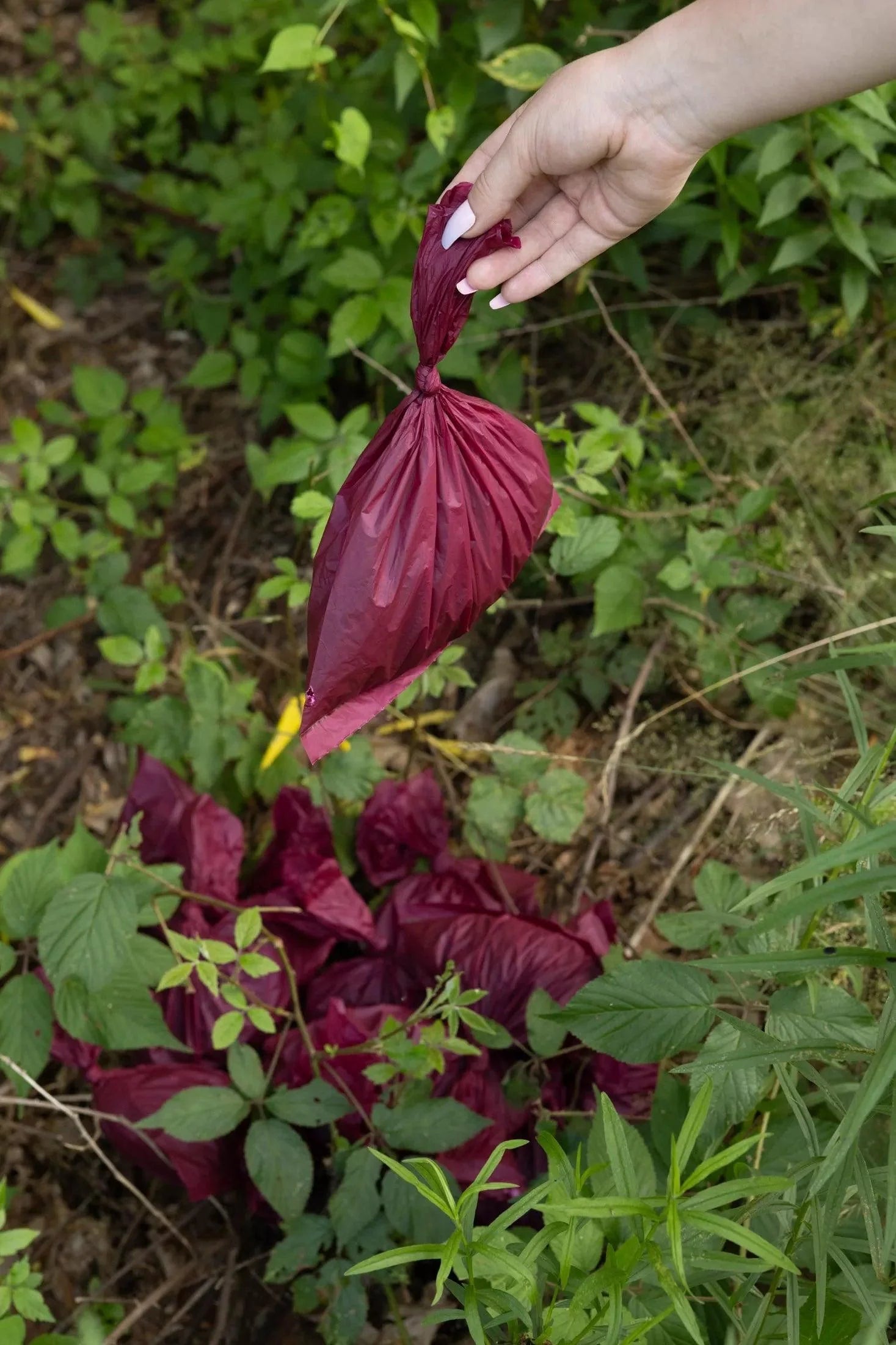 Plant Based Compostable Waste Bags - Tampa Home & Garden Store