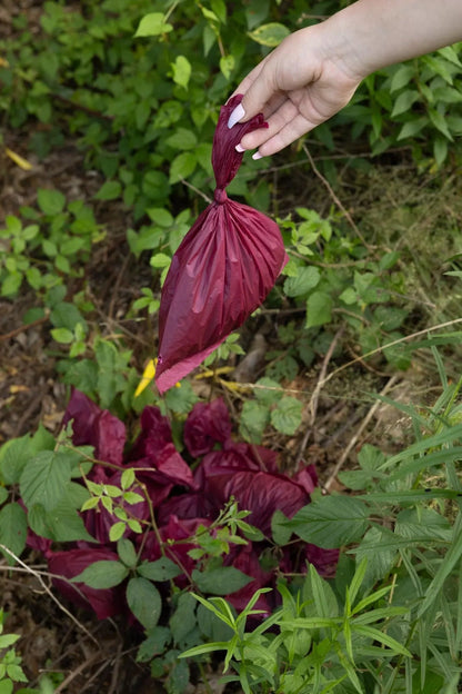Plant Based Compostable Waste Bags - Tampa Home & Garden Store