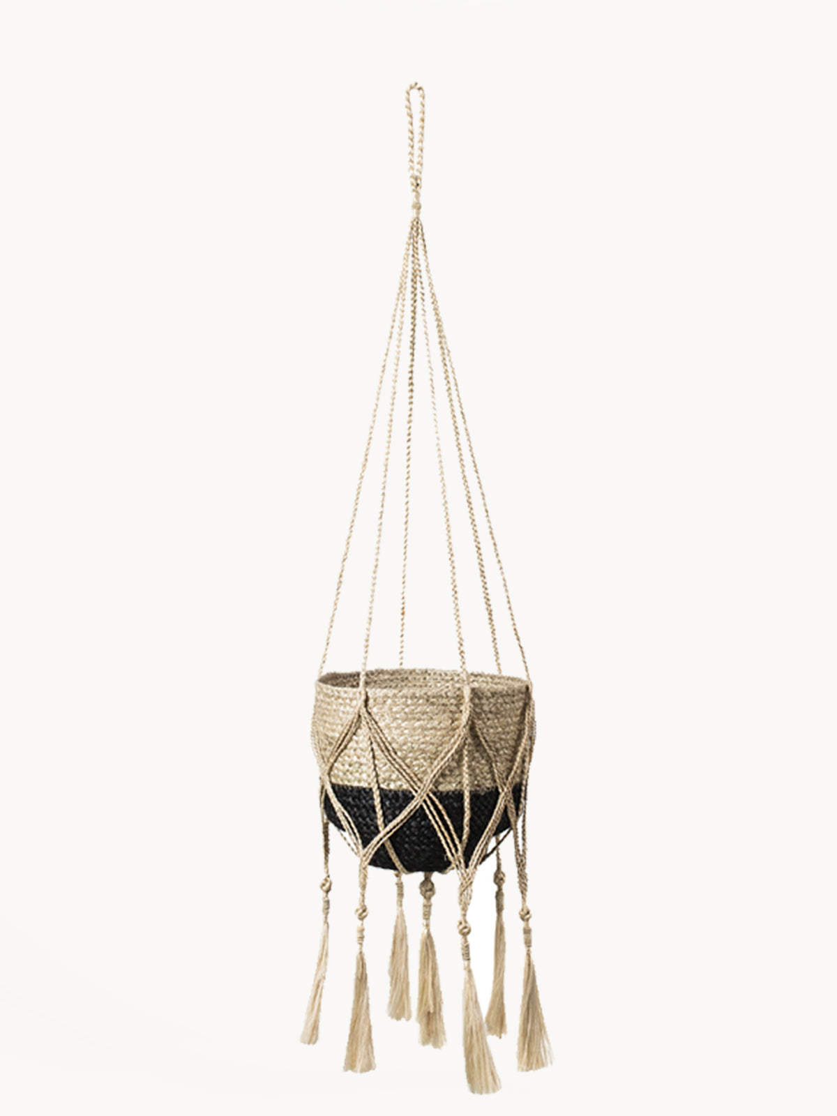 Plant Hanger - Bitan - Tampa soil911.com