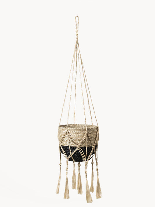 Plant Hanger - Bitan - Tampa soil911.com