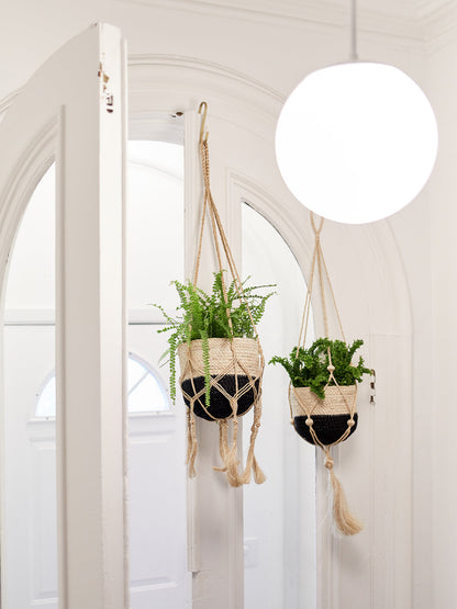 Plant Hanger - Bitan - Tampa soil911.com