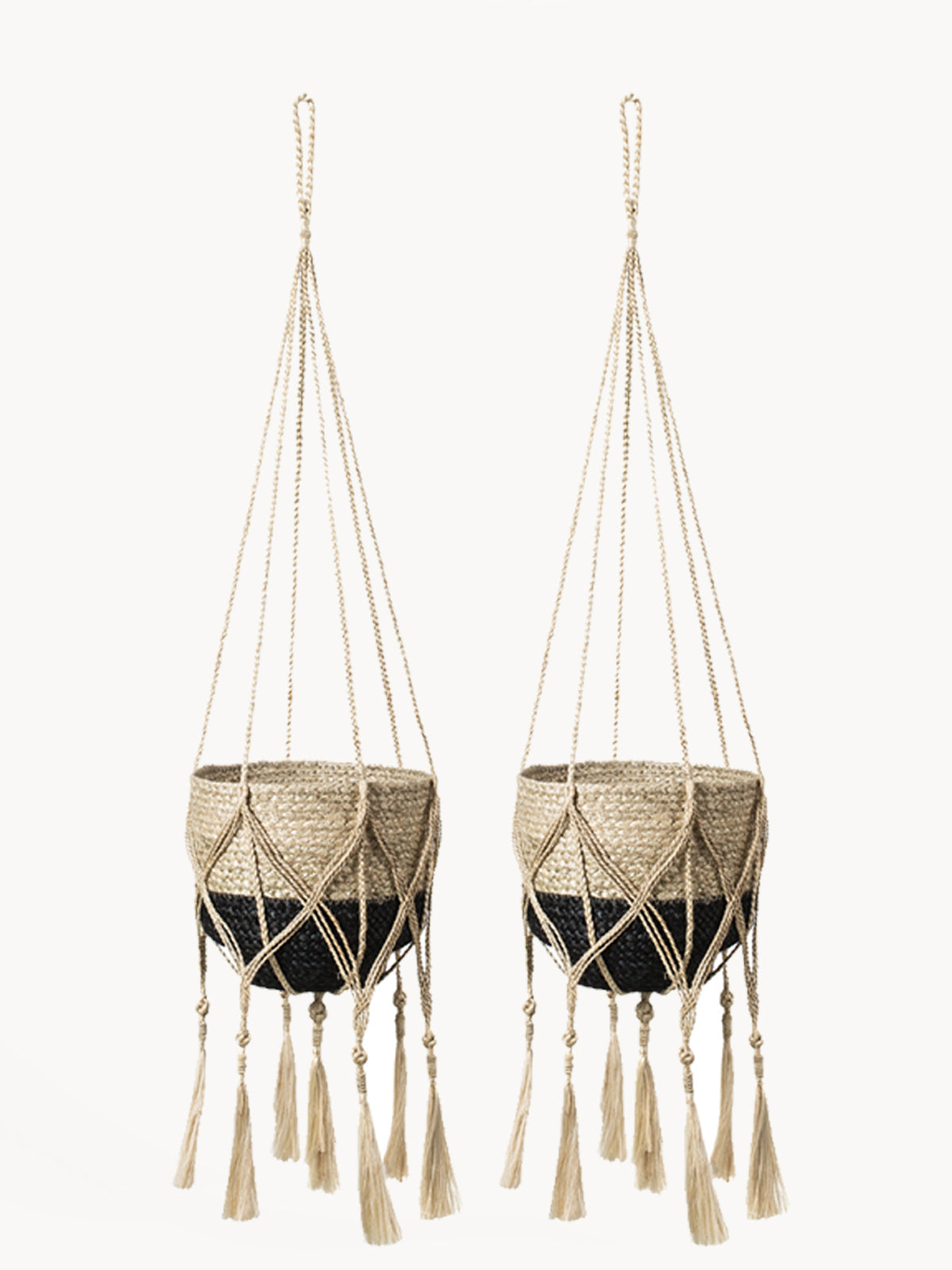 Plant Hanger - Bitan - Tampa soil911.com