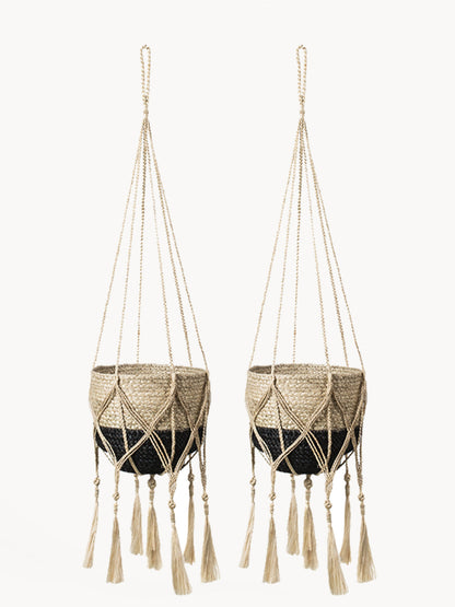 Plant Hanger - Bitan - Tampa soil911.com